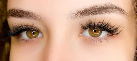Eyelash and Brow